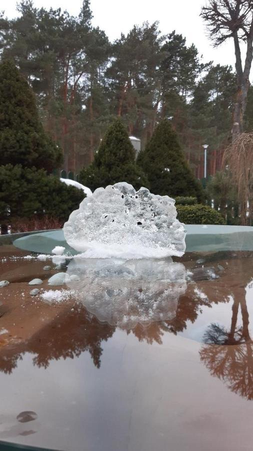 Kranto Vila Palanga Buitenkant foto