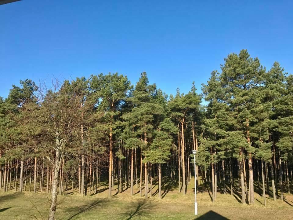 Kranto Vila Palanga Buitenkant foto